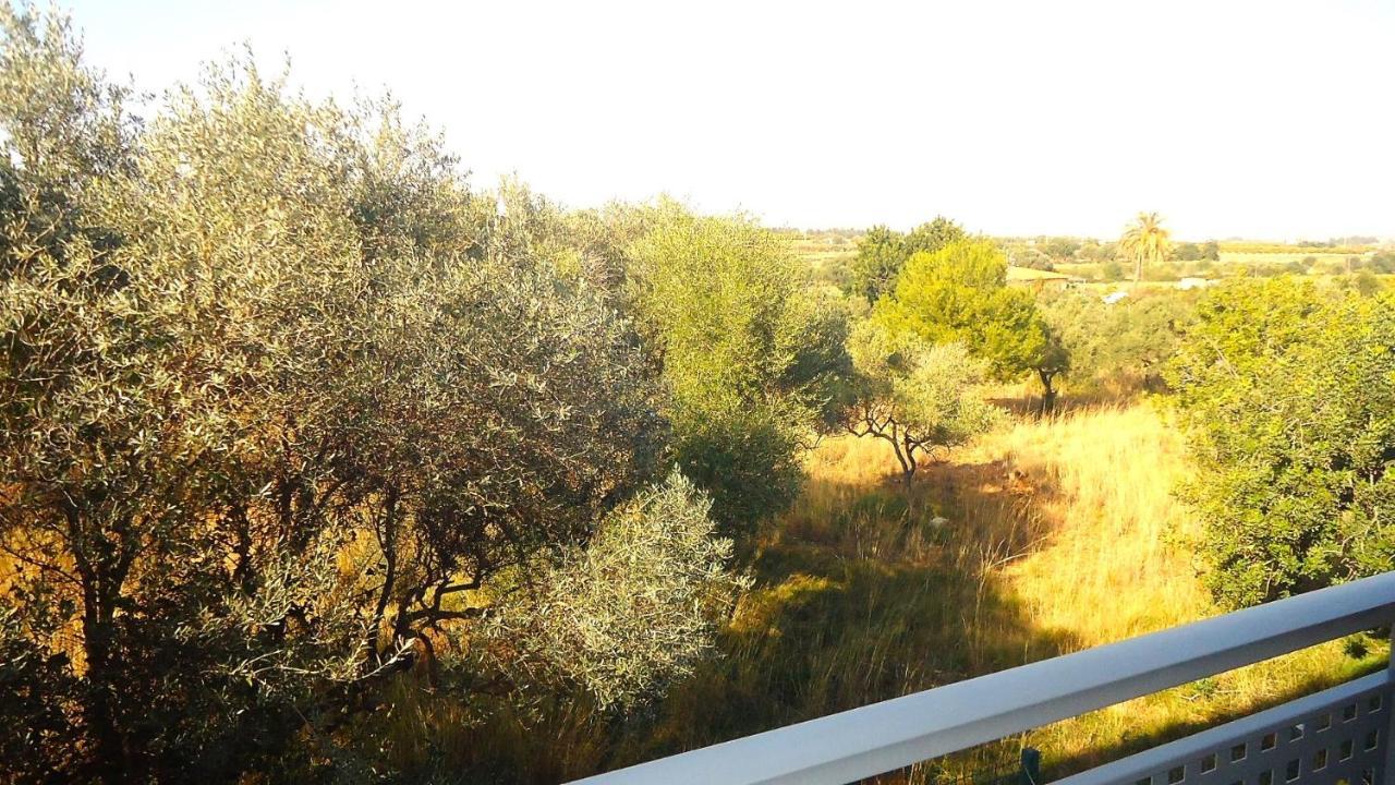 Terravita Residencial Lek Peñíscola المظهر الخارجي الصورة